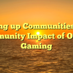 Setting up Communities: The Community Impact of Online Gaming