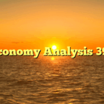 Economy Analysis 399